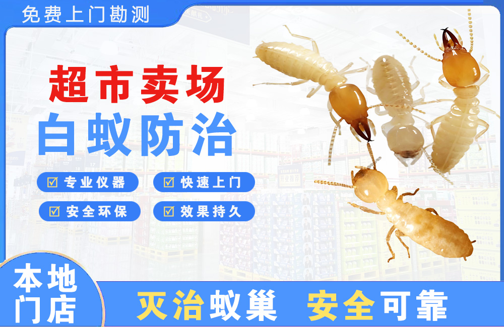 攀枝花超市卖场白蚁防治