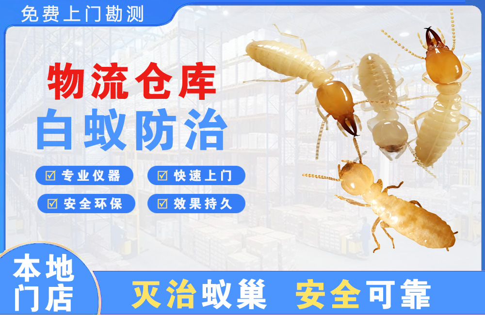 攀枝花物流仓库白蚁防治