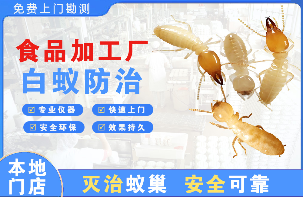 攀枝花食品加工厂白蚁防治