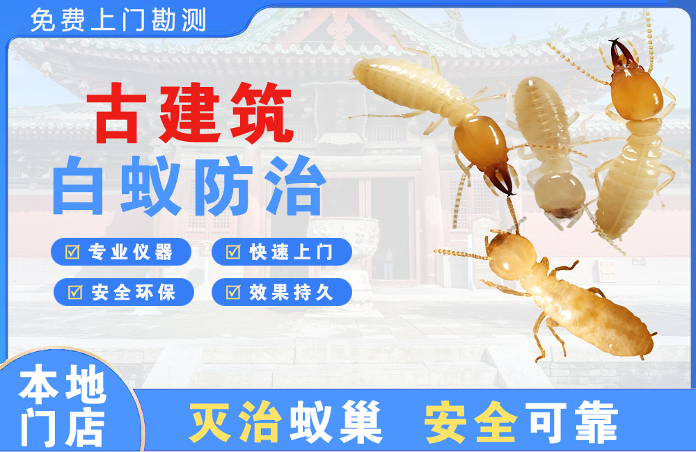 攀枝花古建筑白蚁防治