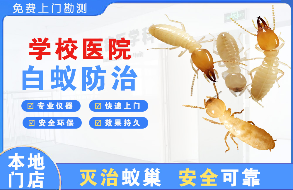 攀枝花学校医院白蚁防治