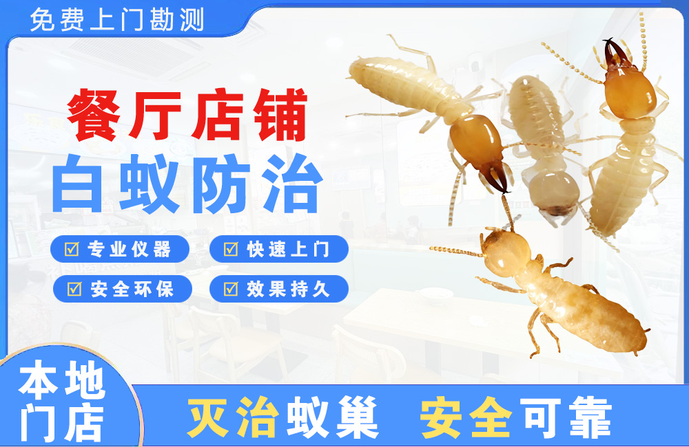 攀枝花餐厅店铺白蚁防治